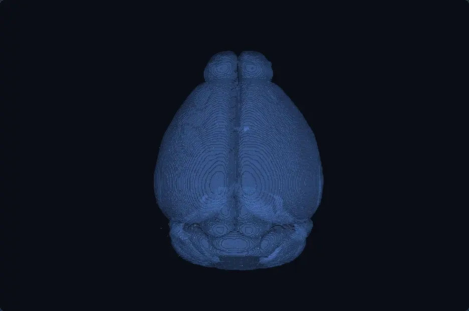 Animated Allen MERFISH brain mesh with spatial cells, rotating and moving closer to the selected view.